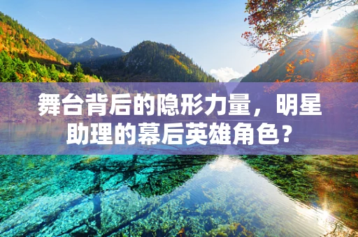 舞台背后的隐形力量，明星助理的幕后英雄角色？