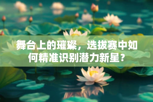 舞台上的璀璨，选拔赛中如何精准识别潜力新星？
