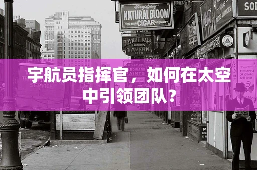 宇航员指挥官，如何在太空中引领团队？