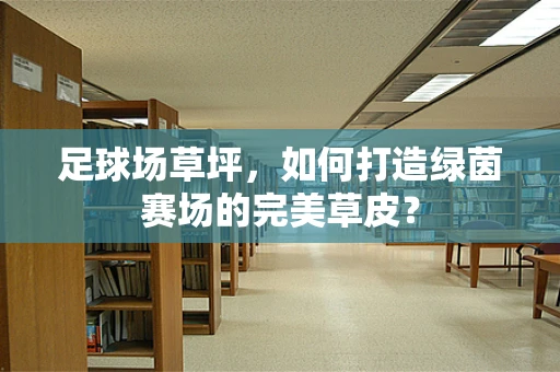 足球场草坪，如何打造绿茵赛场的完美草皮？
