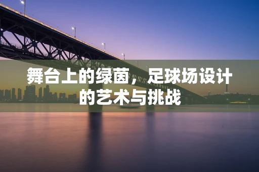 舞台上的绿茵，足球场设计的艺术与挑战