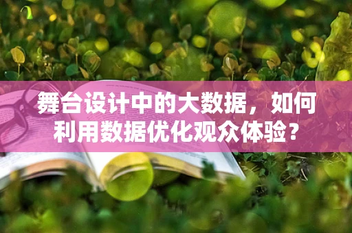 舞台设计中的大数据，如何利用数据优化观众体验？