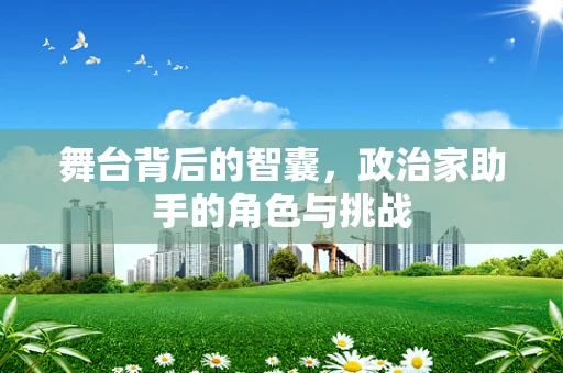 舞台背后的智囊，政治家助手的角色与挑战