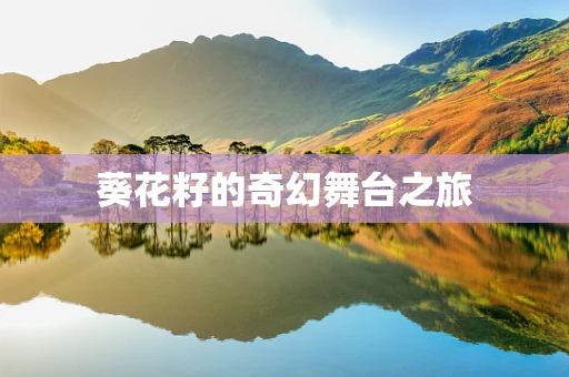 葵花籽的奇幻舞台之旅
