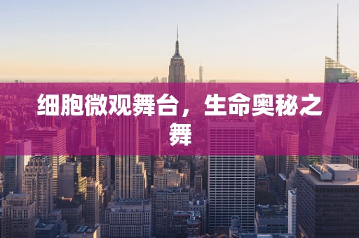 细胞微观舞台，生命奥秘之舞