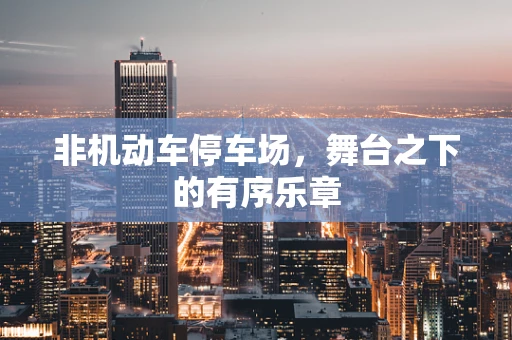 非机动车停车场，舞台之下的有序乐章