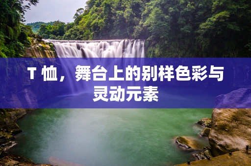 T 恤，舞台上的别样色彩与灵动元素