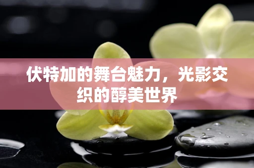伏特加的舞台魅力，光影交织的醇美世界