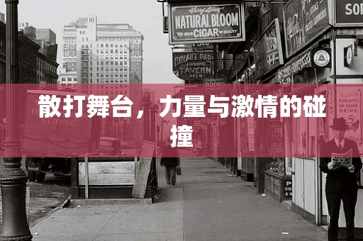 散打舞台，力量与激情的碰撞