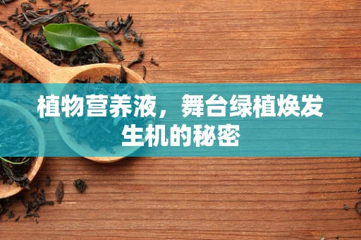 植物营养液，舞台绿植焕发生机的秘密