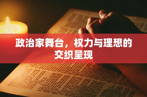 政治家舞台，权力与理想的交织呈现