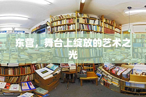 东营，舞台上绽放的艺术之光