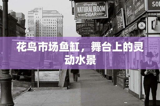 花鸟市场鱼缸，舞台上的灵动水景