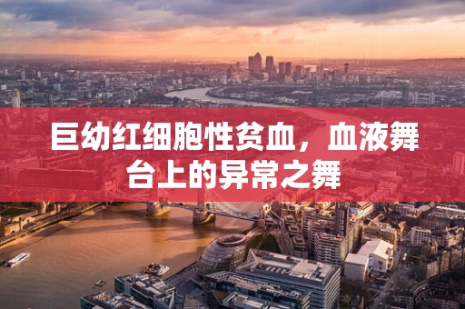 巨幼红细胞性贫血，血液舞台上的异常之舞