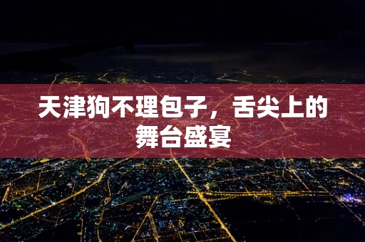 天津狗不理包子，舌尖上的舞台盛宴