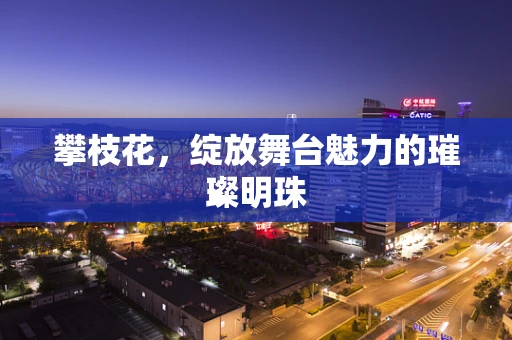 攀枝花，绽放舞台魅力的璀璨明珠