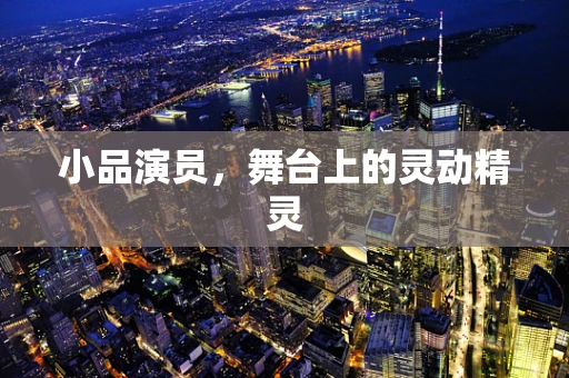 小品演员，舞台上的灵动精灵