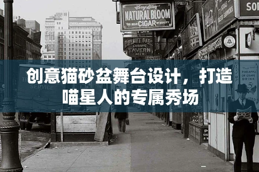 创意猫砂盆舞台设计，打造喵星人的专属秀场