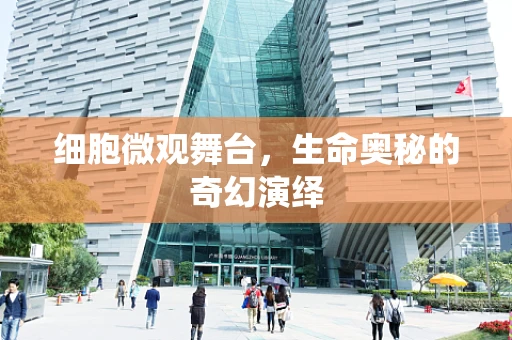 细胞微观舞台，生命奥秘的奇幻演绎