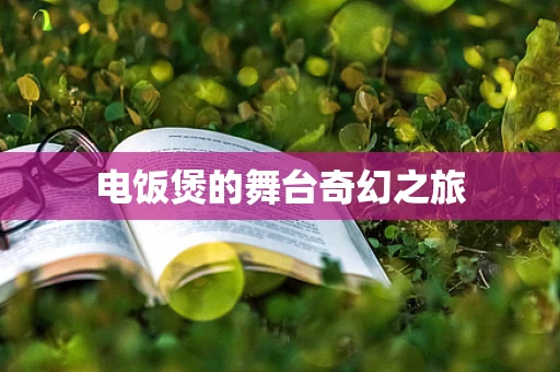 电饭煲的舞台奇幻之旅