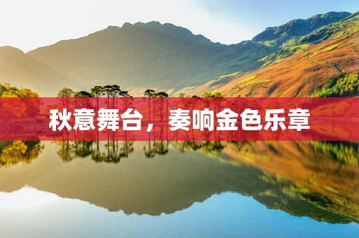 秋意舞台，奏响金色乐章