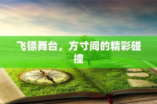 飞镖舞台，方寸间的精彩碰撞