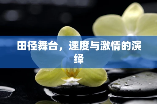 田径舞台，速度与激情的演绎