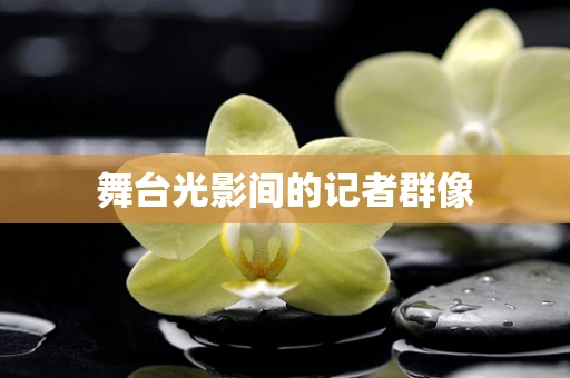 舞台光影间的记者群像
