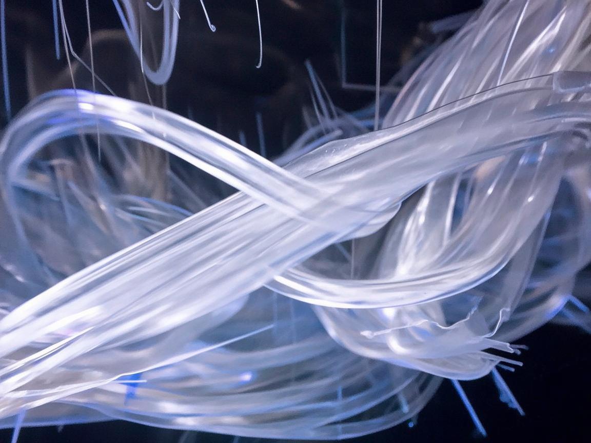 软管，舞台设计中的灵动线条